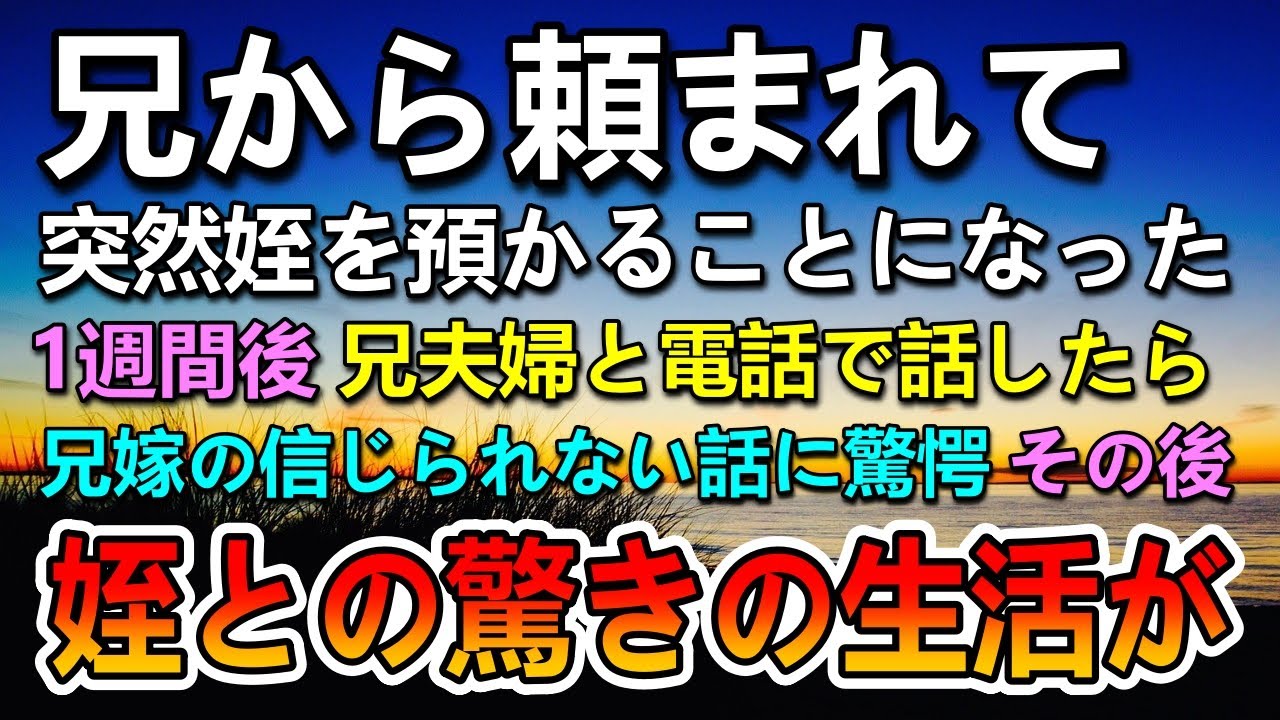 【感動する話】兄から頼まれ姪を預かることになった。1週間後兄嫁の話に驚愕する弟…その後信じられない展開に