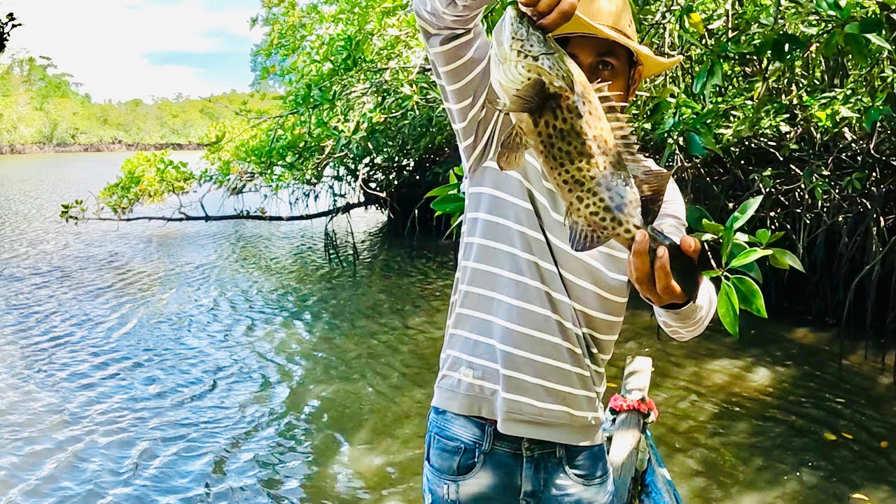 অনেকদিন পর গোবরা মাছ ধরলাম @ANDAMAN_HUNTERS