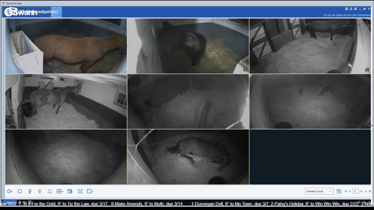 CLF Livestream 3/8/26