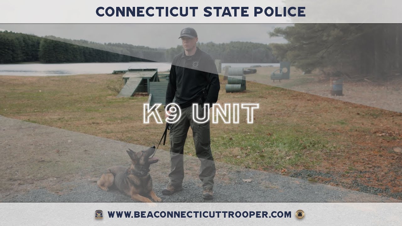 K9 Unit
