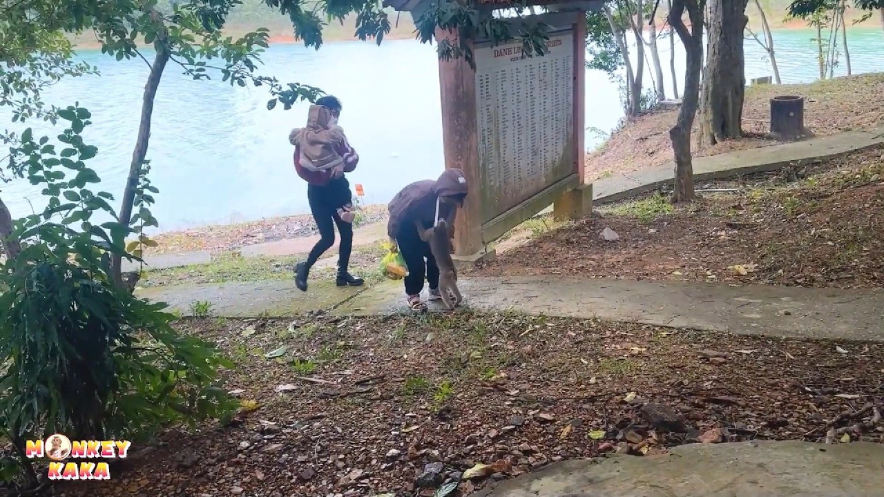 Monkey Kaka and family had a very touching reunion.
