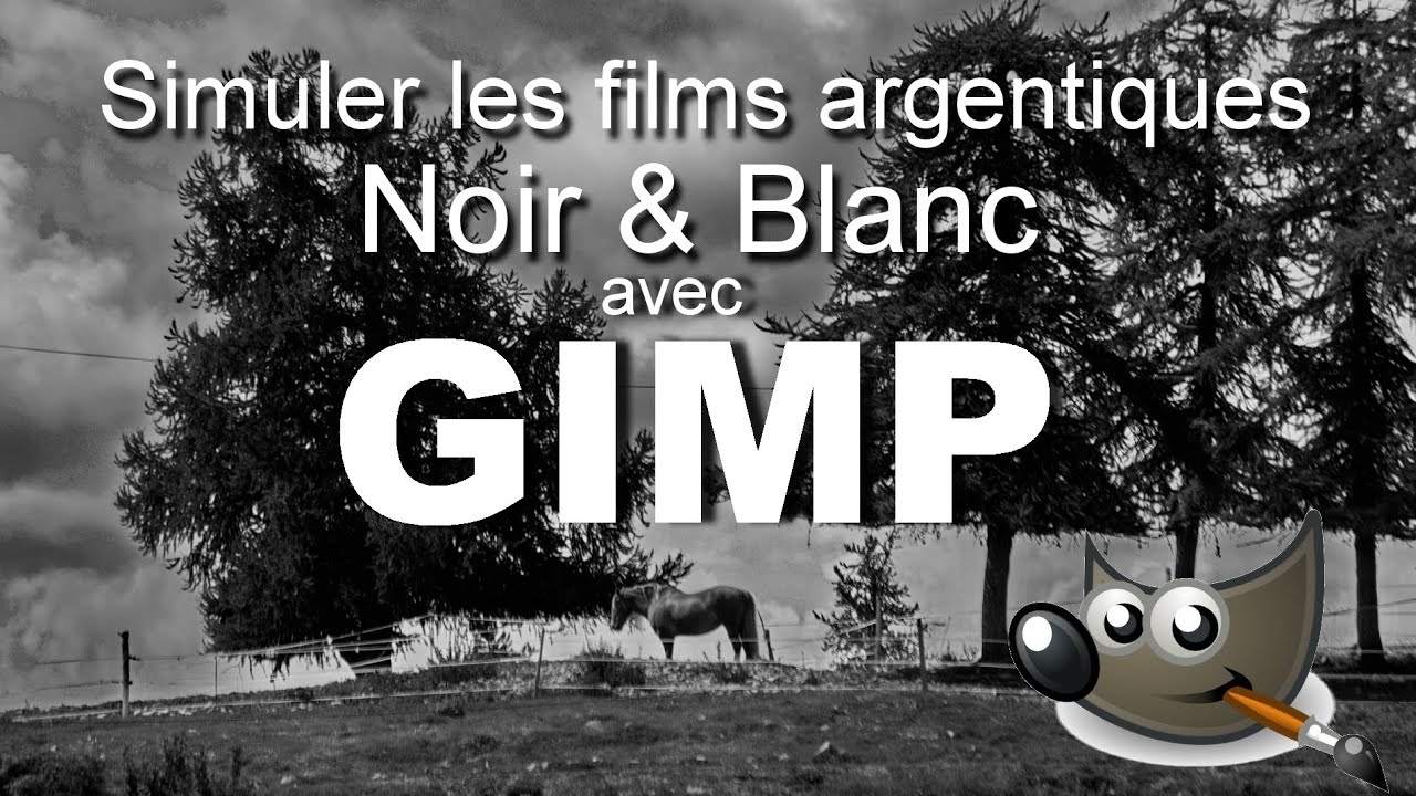 Simuler les films argentiques noir et blanc avec GIMP.  Tutoriel Gimp.