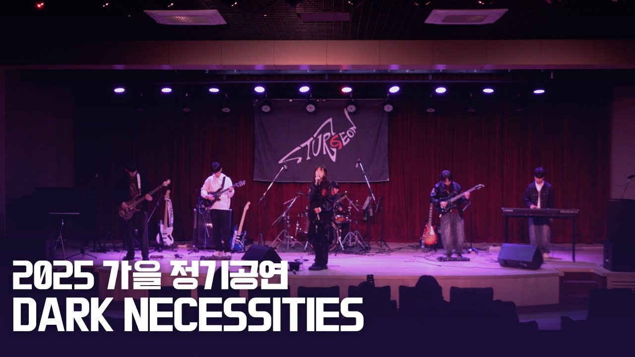 [2025 가을 정기공연] Dark Necessities - Red Hot Chili Peppers | Sturgeon 25기