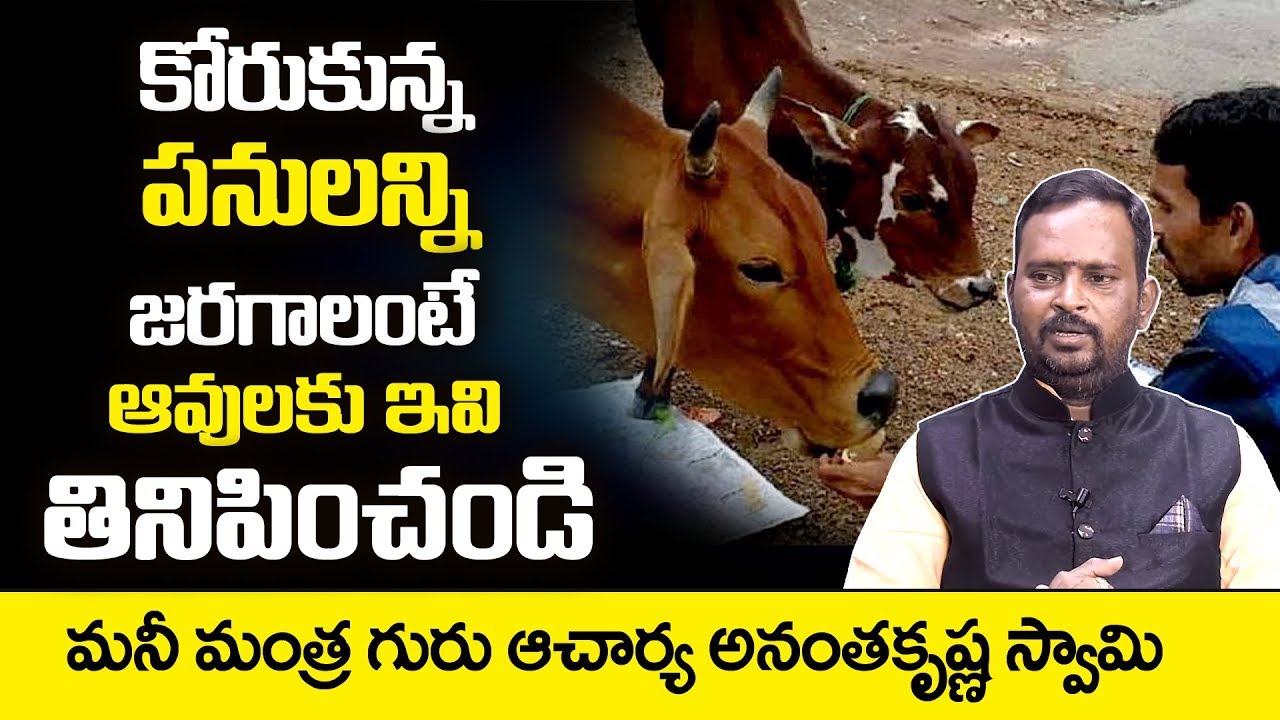 Chitti Tantra To Get Rich: Acharya Anantha Krishna Swamy Millionaire Money Mantra | SumanTV