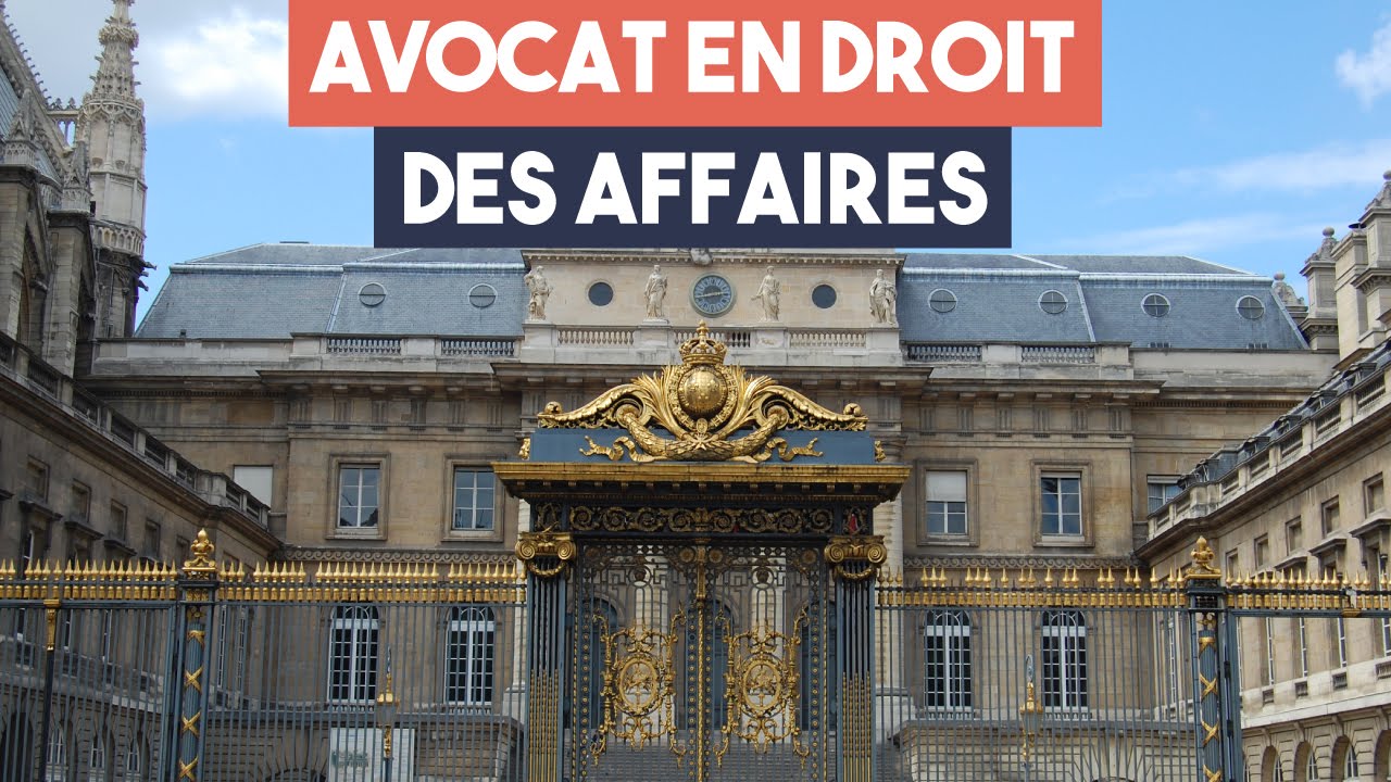 Avocats : la spécialité droit des affaires