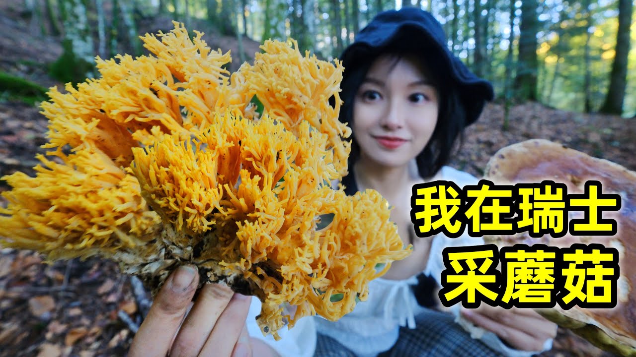 在瑞士采蘑菇，300元一斤形似金珊瑚，你敢吃吗？| 蘑菇 | 农村 | 美食 | 户外 | 牛肝菌 |
