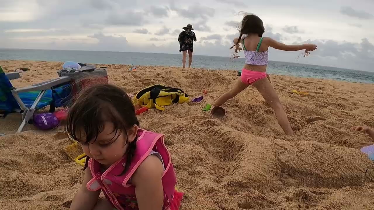 Family Beach Day with Foxes