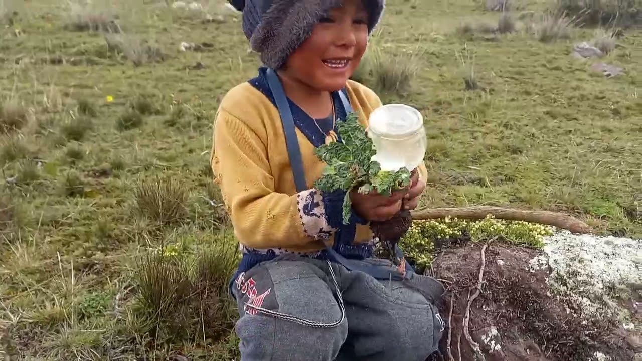 FRUTOS SILVESTRES de la PUNA/ Nos encontramos con el ZORRITO 😊🥰