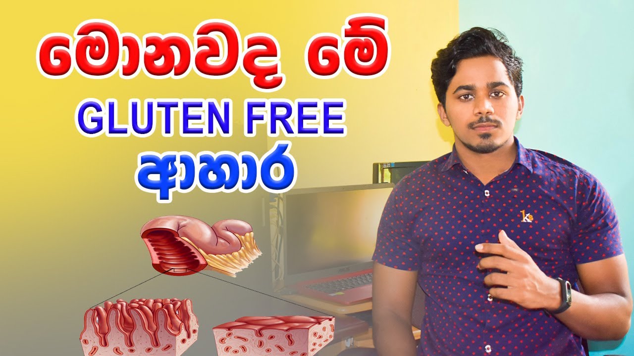 What is Gluten | Food Science and Technology | Tech Food
