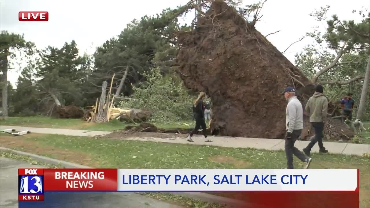 Liberty Park damaged in storm