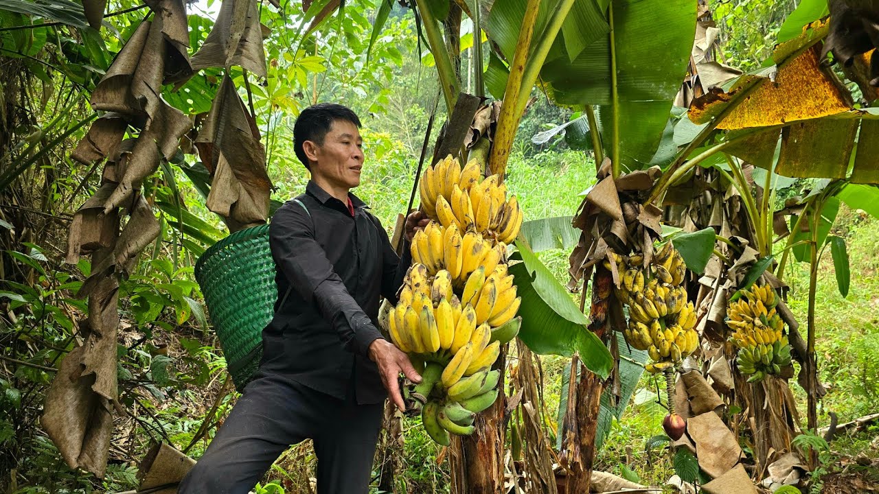 120 Days: Harvest Agricultural Goes to the market sell - COOKING OIL From Pork Fat - Cooking