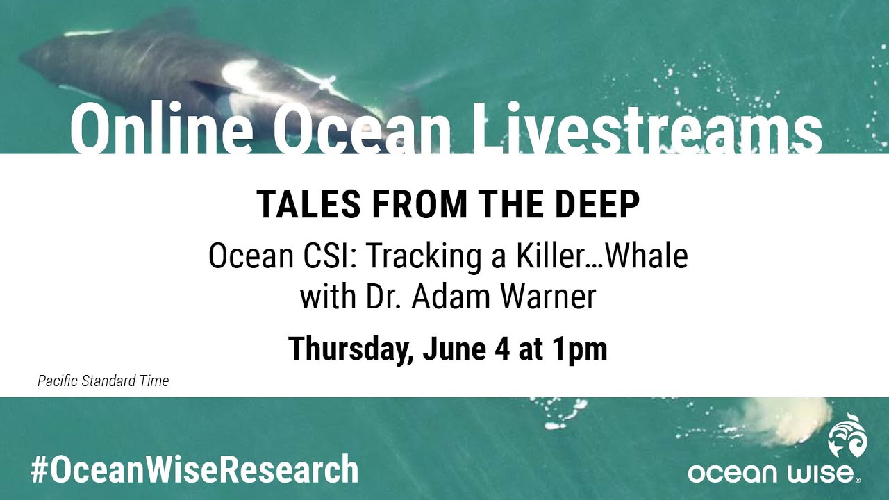Dr. Adam Warner - Ocean CSI   Tracking a Killer&hellip;Whale