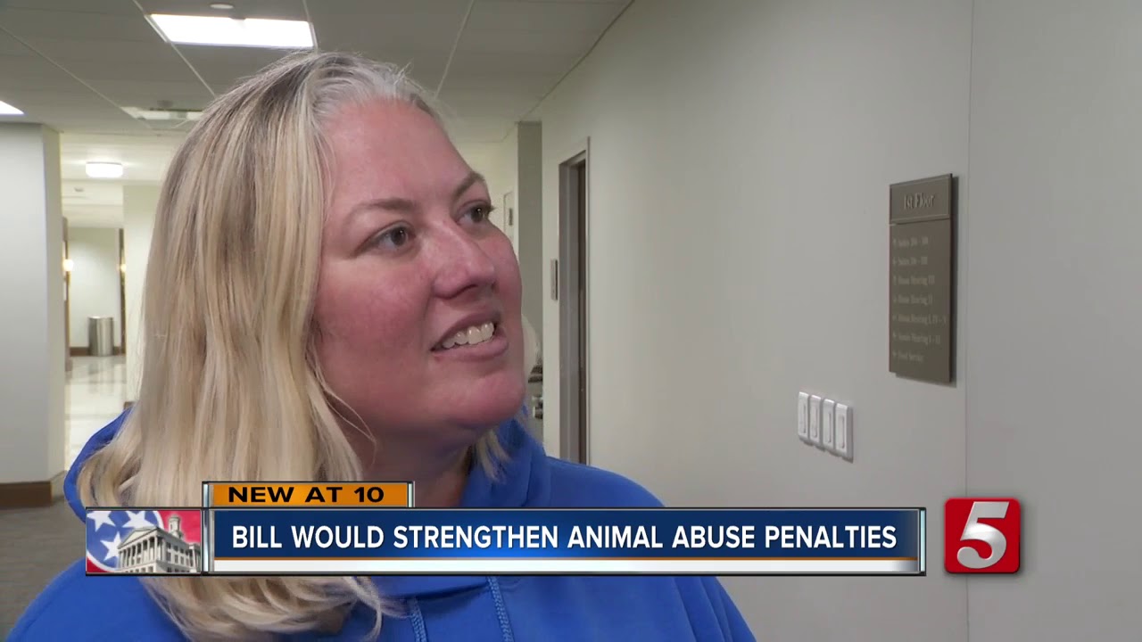 Tennessee PAWS Act would toughen punishment in animal abuse cases