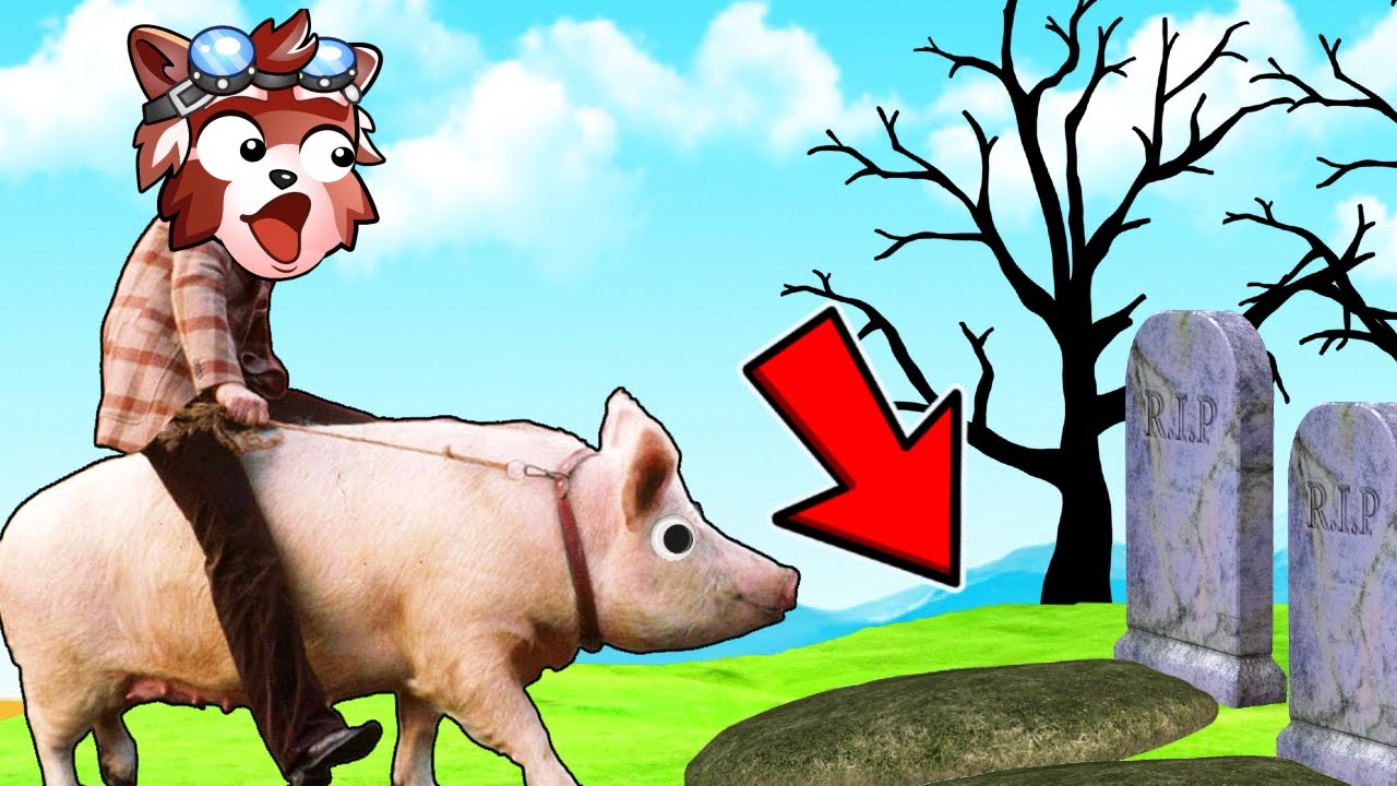 MERG LA CIMITIR CALARE PE PORC in SATUL OHIO DIN ROMANIA?!