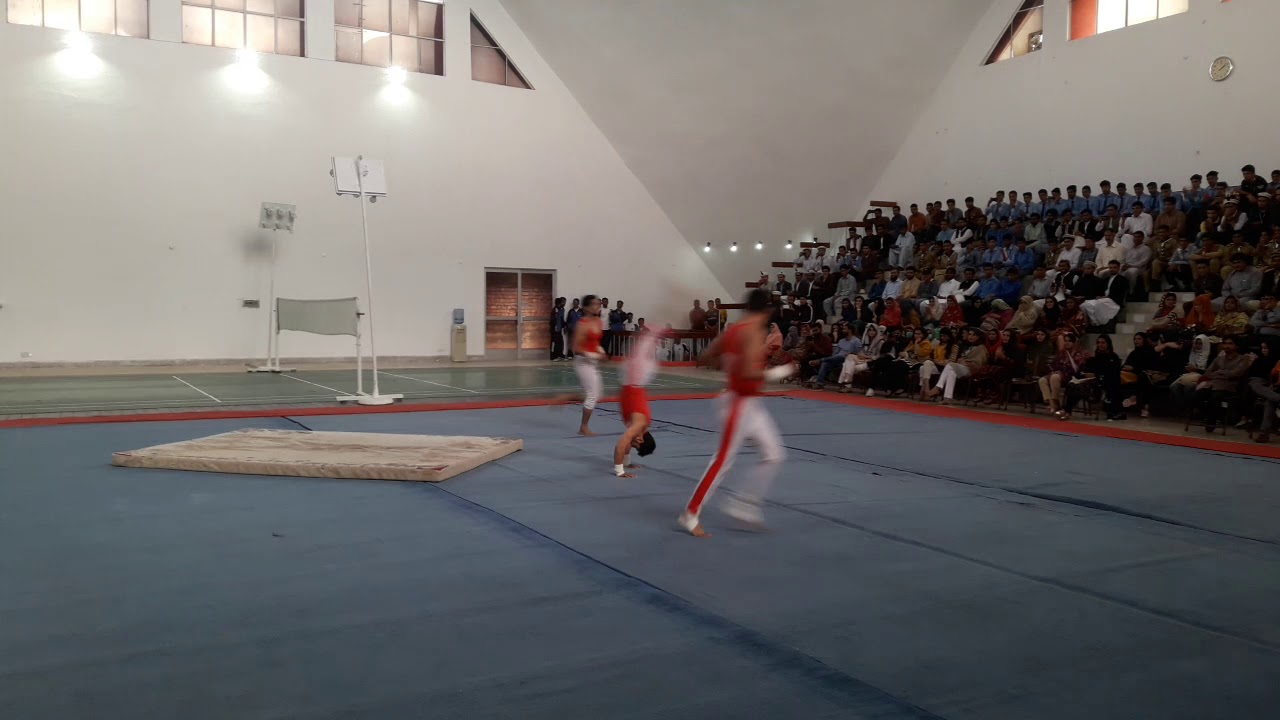 Gymnastic Team Display in Gymnasium ASPT  11 Oct 2018