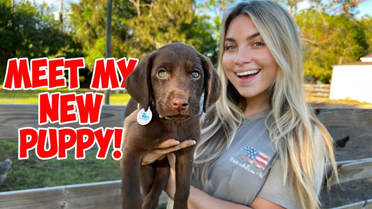 MEET MY NEW PUPPY!