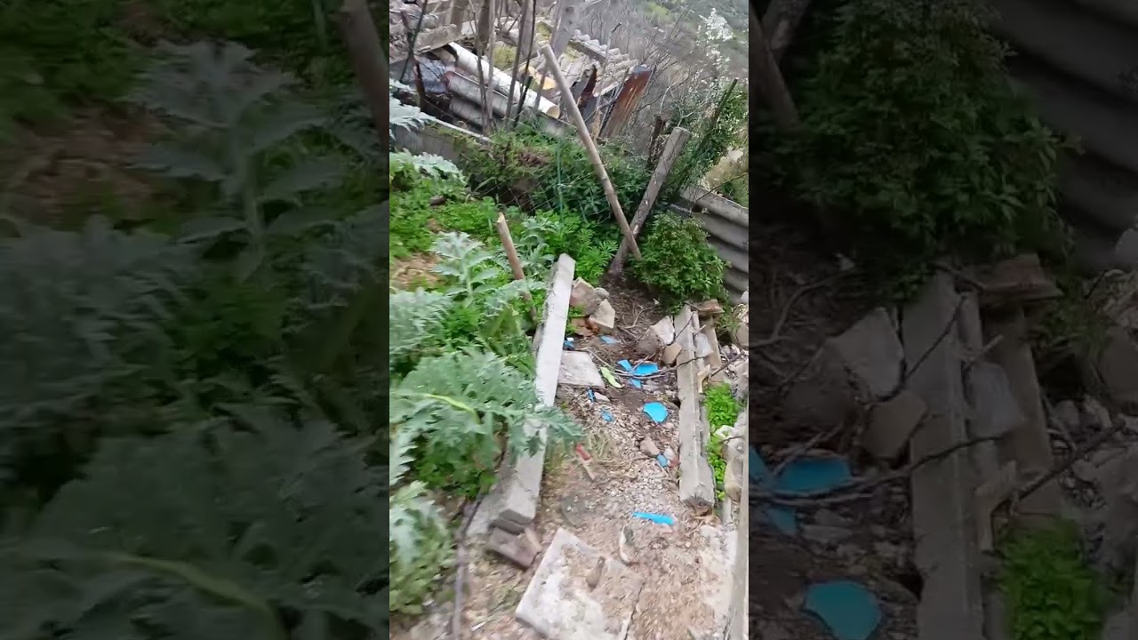 Watch this Run baby run. #run #lucky #hit #fall #prank #escape