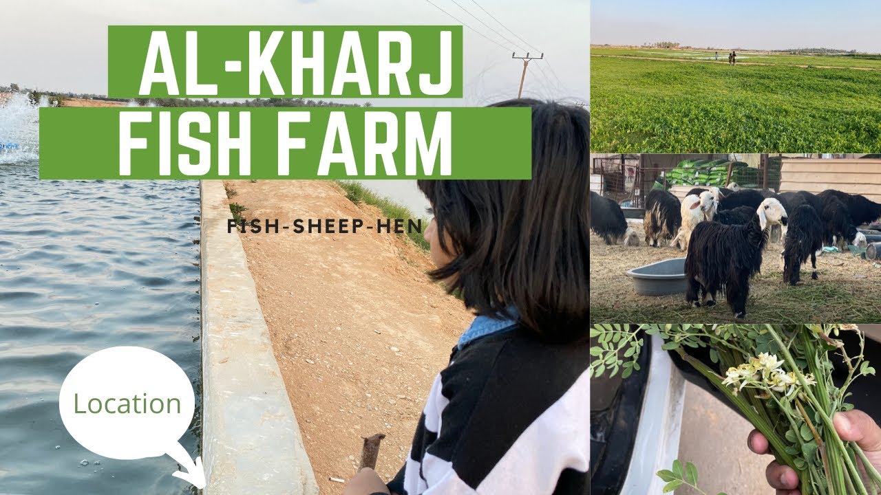 Fish Farm in Alkharj
