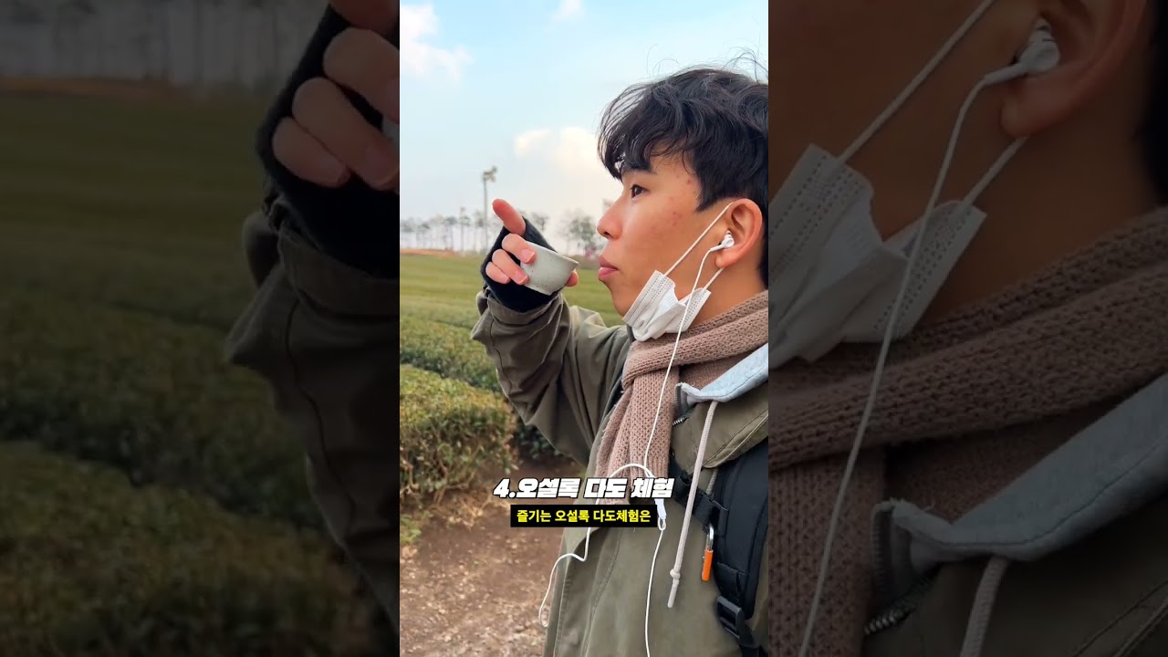 ⛄제주체크인⛄겨울에 더 좋은 제주 여행지 BEST 5🍊