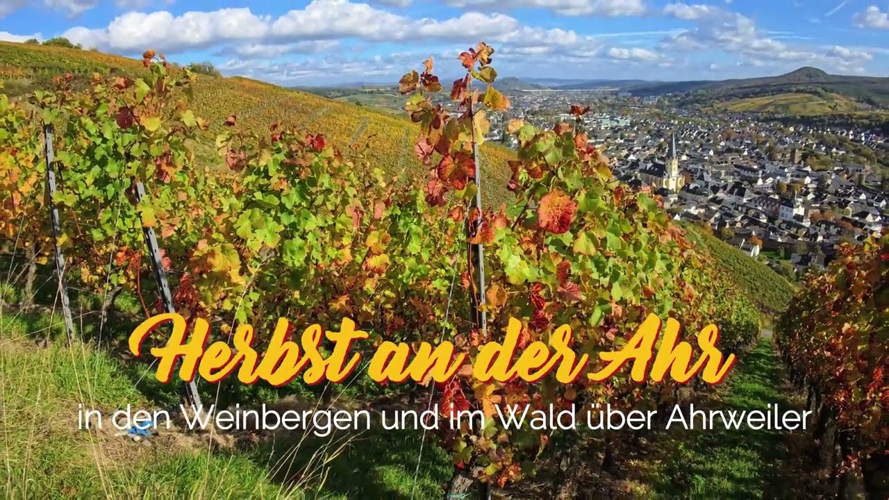 Herbst im Ahr-Tal bei Ahrweiler