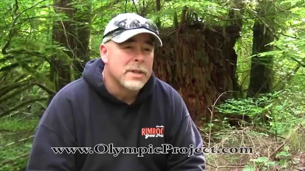Olympic Project Expeditions in Sasquatch Research