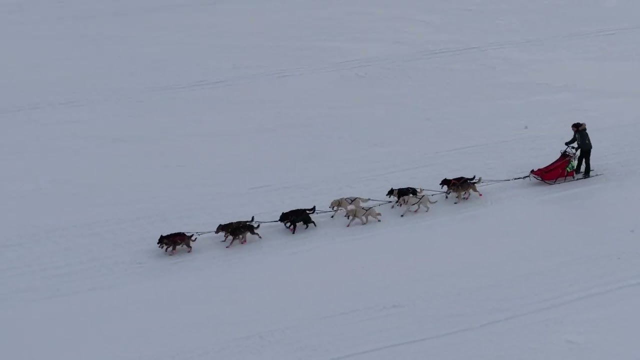 Can-Am Crown Sled Dog Race 2026 – Aerial & Slomo