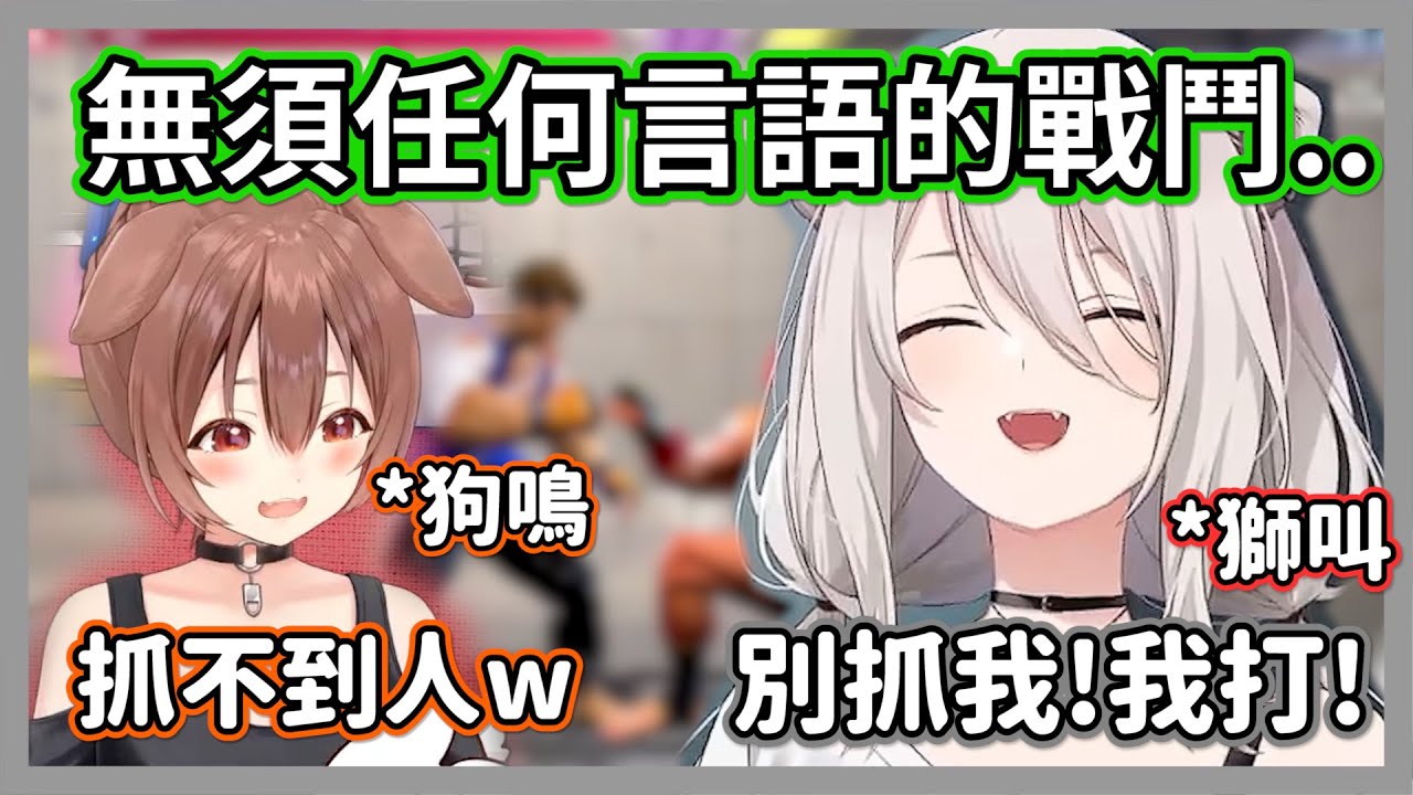 無須任何言語的戰鬥!!獅白白和麵包狗練習快打6嗨到只剩下各種獅狗鳴叫聲w眾人:這就是我們要的!!【獅白牡丹/戊神沁音】【hololive精華】
