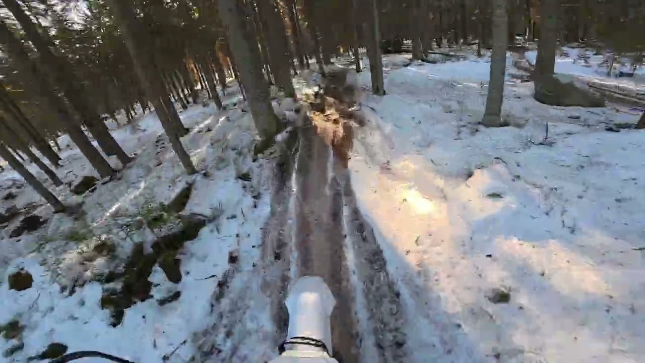 Affes snöspår 1 8 Mars 26