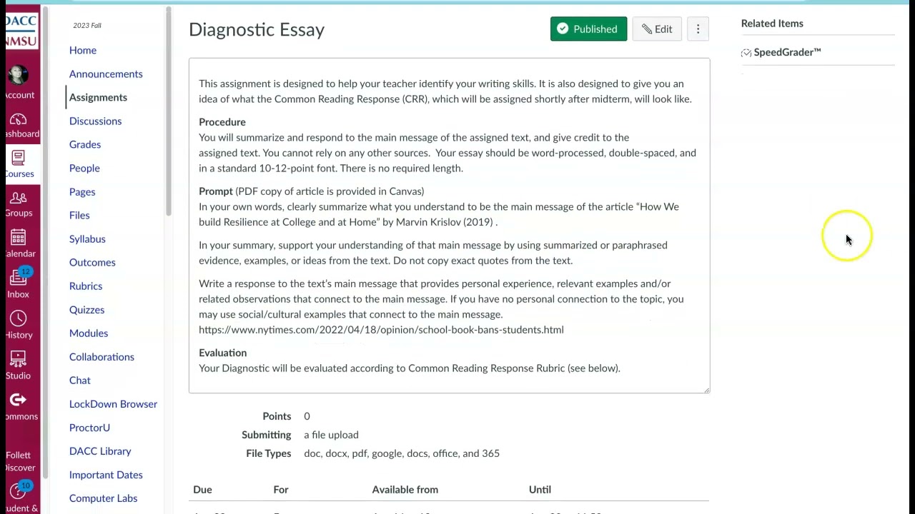 CCDE 110 Diagnostic Essay