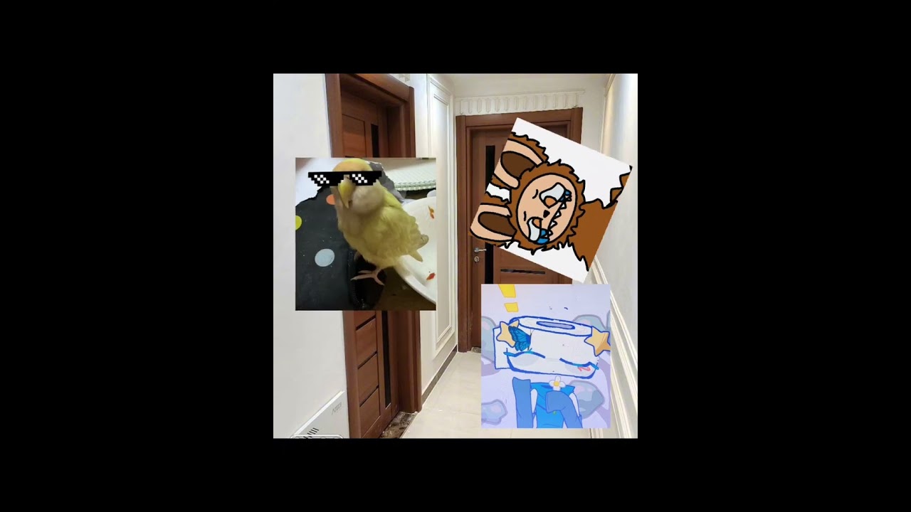 Hjgugh😝😝😝😂🤣🥰🥰