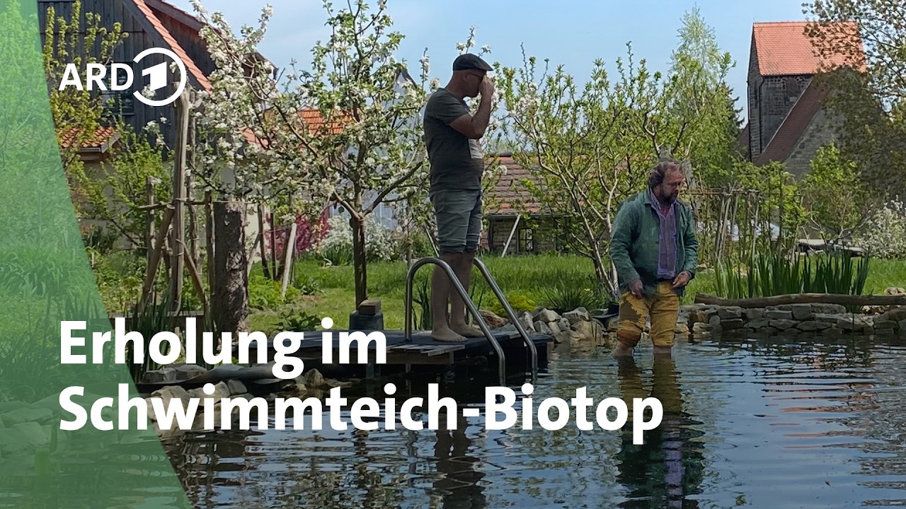 Schwimmteich im Garten anlegen: Baden ohne Chlor dank natürlicher Filter-Technik | MDR Garten