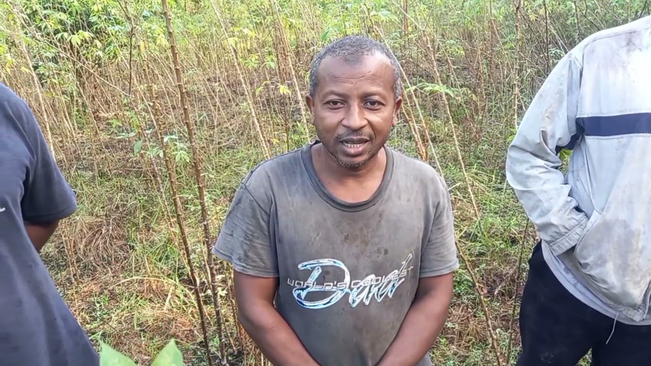 NARIVOUNE YICHO RA LIMA ASSOCIATION DES CADRES DE SALIMANI ITSANDRA POUR L'AGRICULTURE