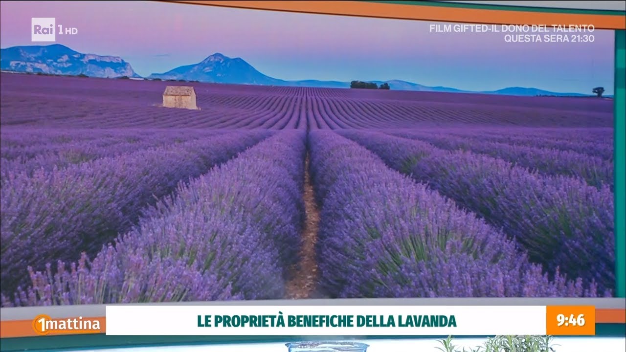 Fitoterapia del benessere: ansia stress e relax - Unomattina 13/11/2024