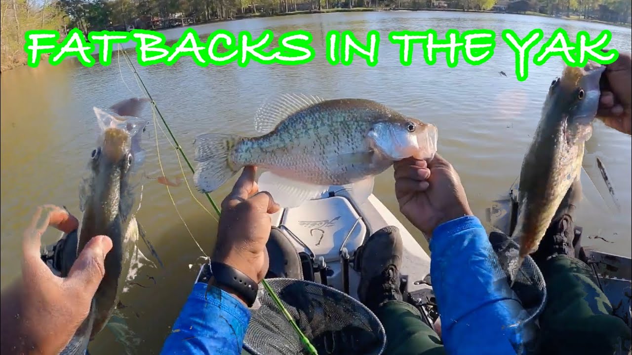 Monster Spring Spawning Crappie on Luce Bayou | The SLABS Are Out | Crappie Fishing Lake Houston