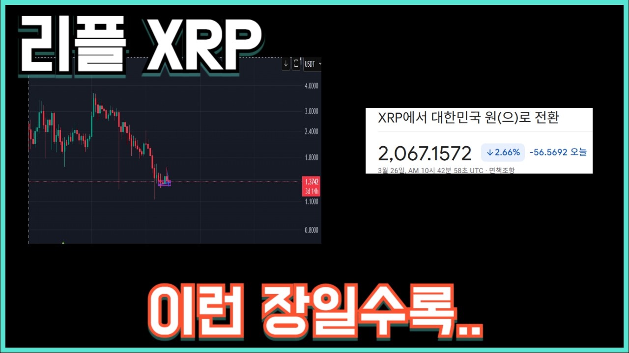 리플 XRP 이런 장일수록..