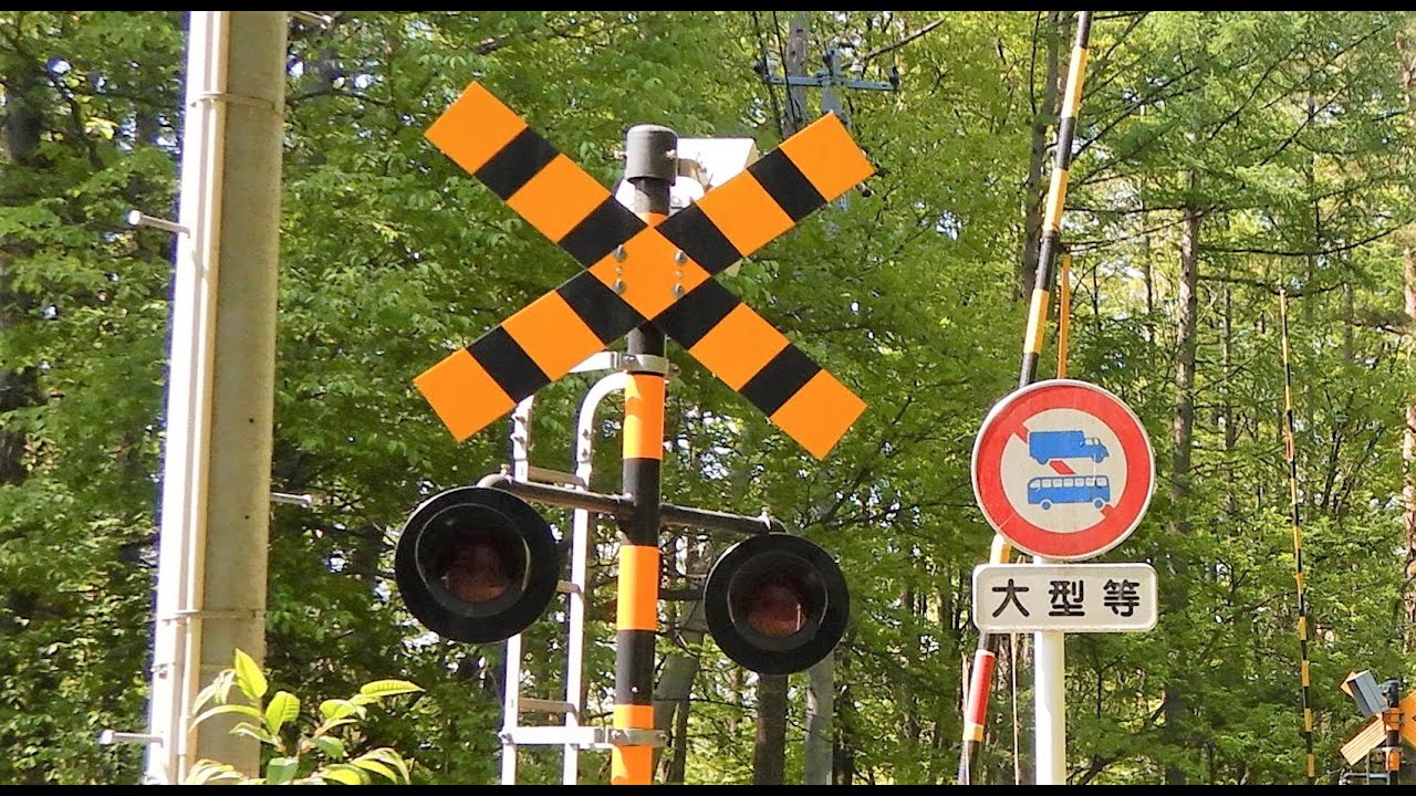 【踏切】色々な秘境踏切 (Railroad crossing in Japan)