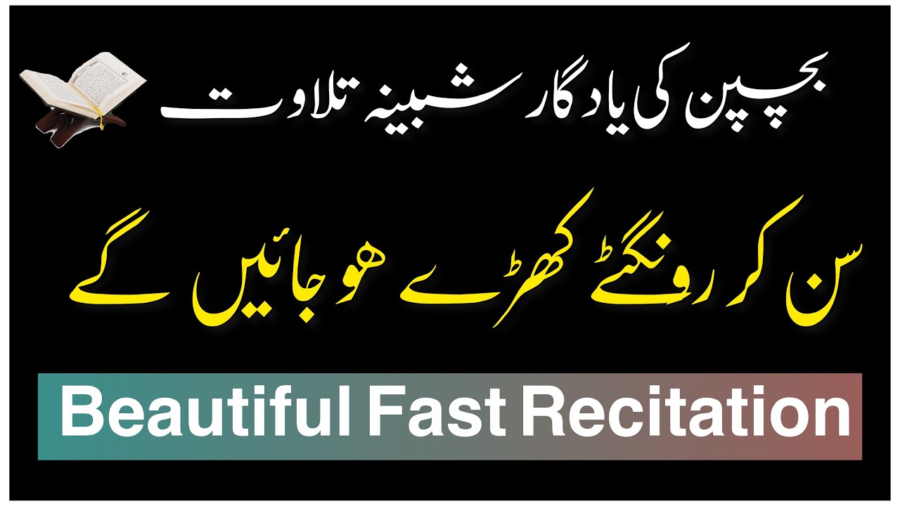 Beautiful Quran recitation | Relaxing Quran recitation | listen daily