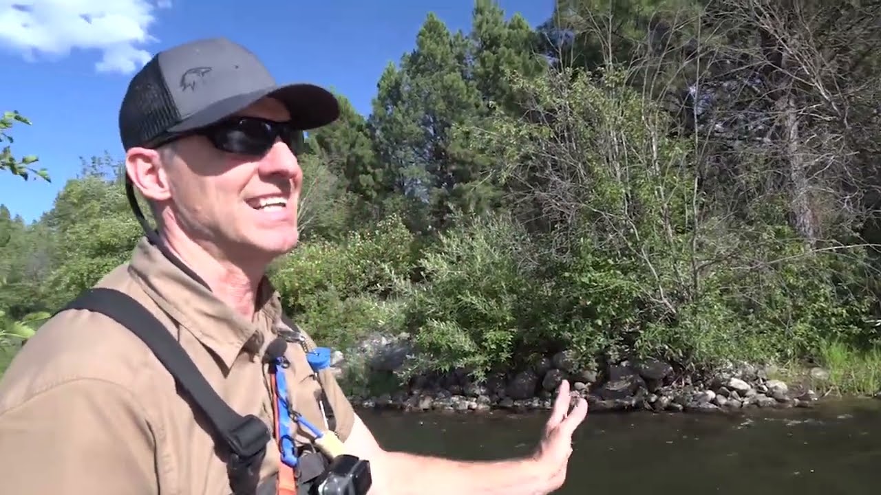 Fly Fishing a Small Montana Creek in July [Episode #78]