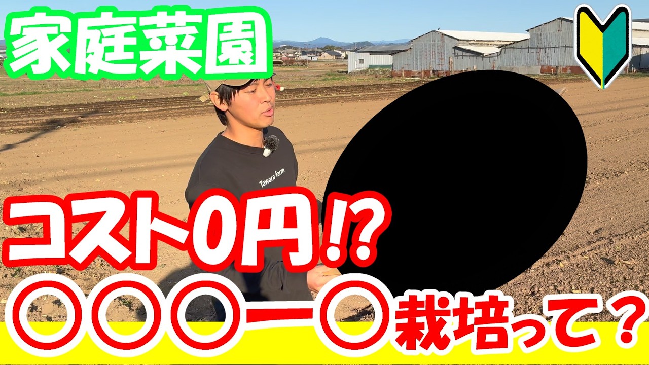 【家庭菜園】100均よりも低コスト！？スーパーでもらえる○○○ー○で野菜が育てれる！【初心者】