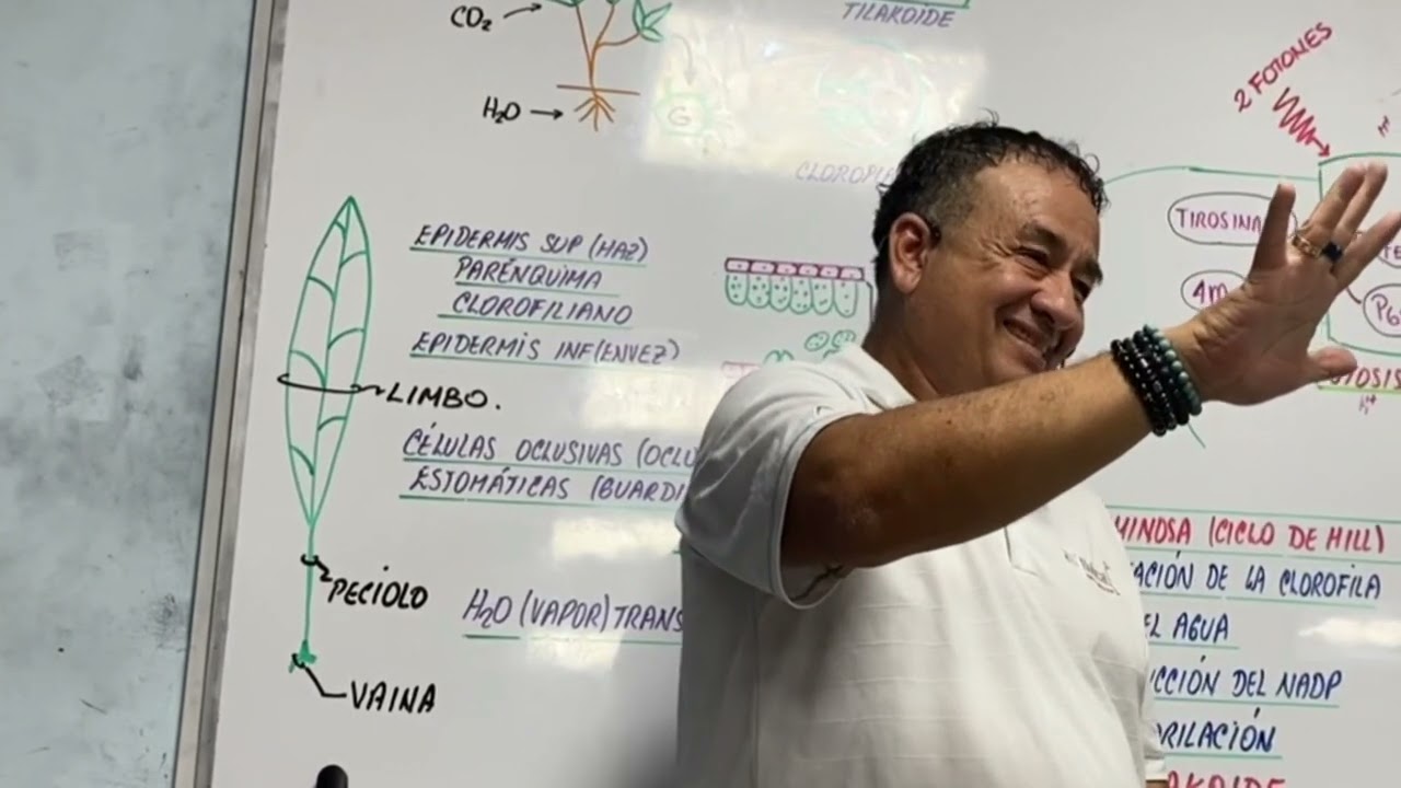 FOTOSINTESIS CLASE PARA BRUTTS - CLASE COMPLETA - CON EL PROFESOR MÁS DIDÁCTICO DE AMÉRICA LATINA -