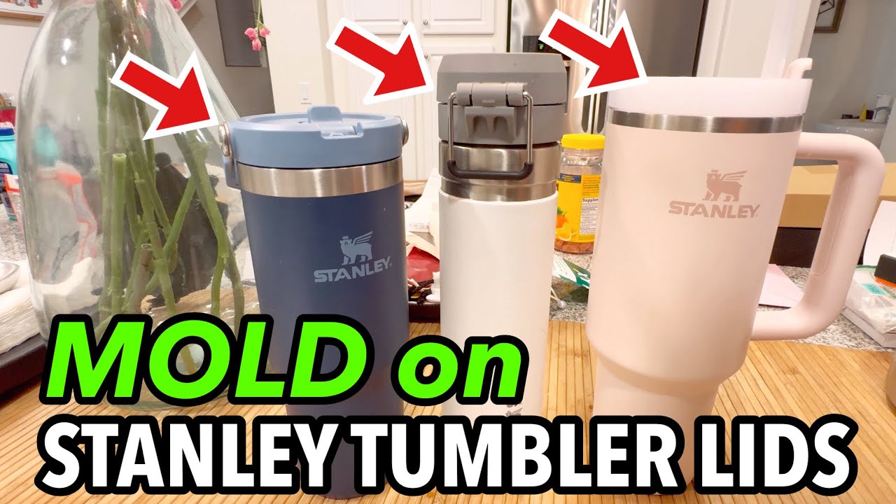 The Disturbing Truth About Stanley Tumblers | MOLD 【Review135】