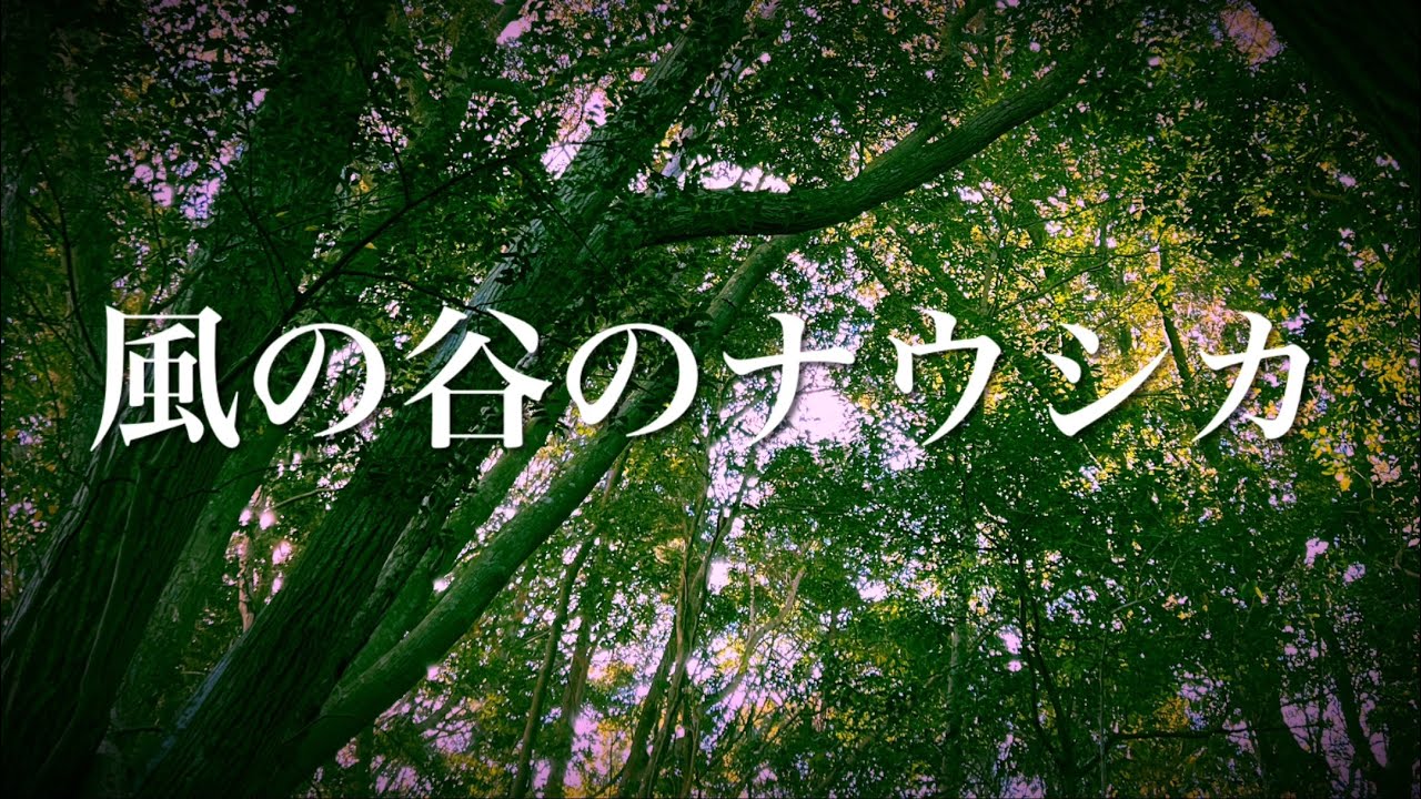 オカリナ「風の谷のナウシカ」安田成美