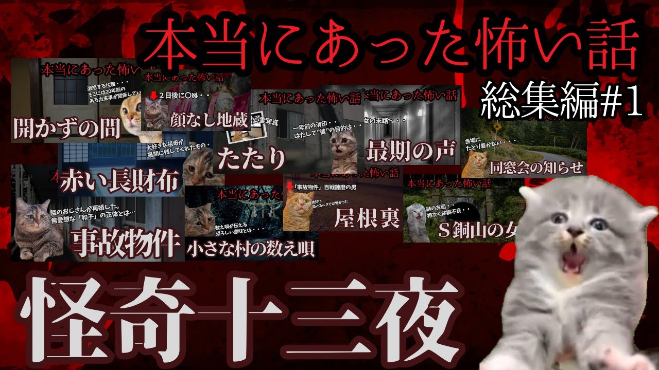 【総集編#１】怪奇十三夜～本当にあった怖い話～【猫ミーム】【怖い話】【猫マニ】
