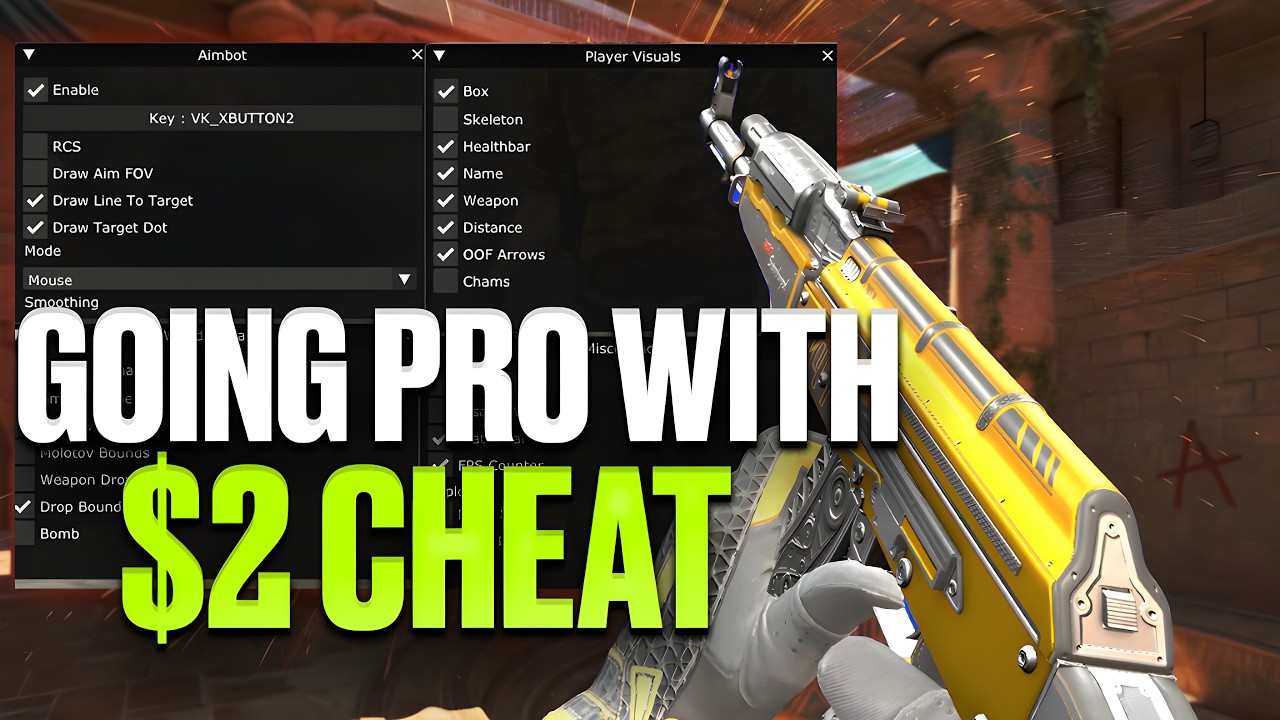 This New CS2 Cheat MADE ME GO PRO... (VividCheats)