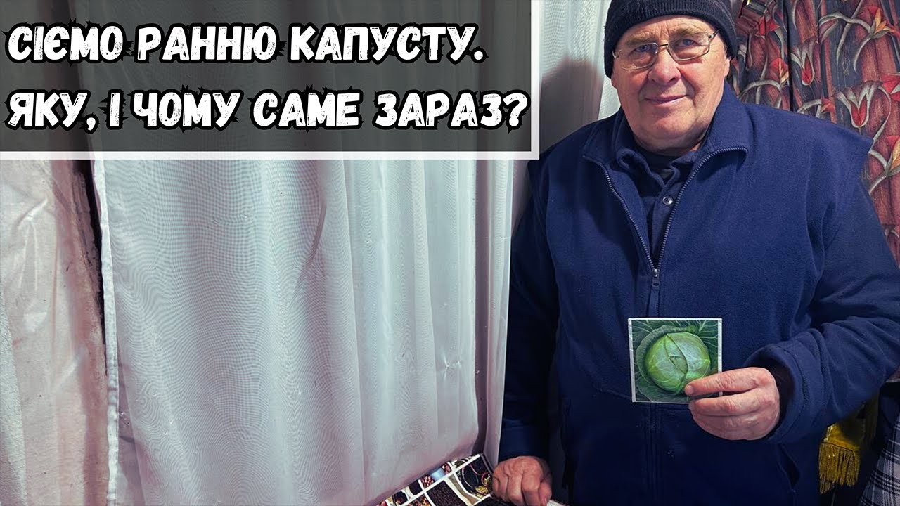 Сіємо ранню капусту. Яку, і чому саме зараз?