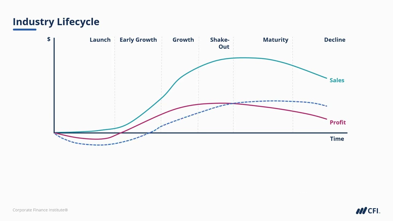 Industry Lifecycle   CFI
