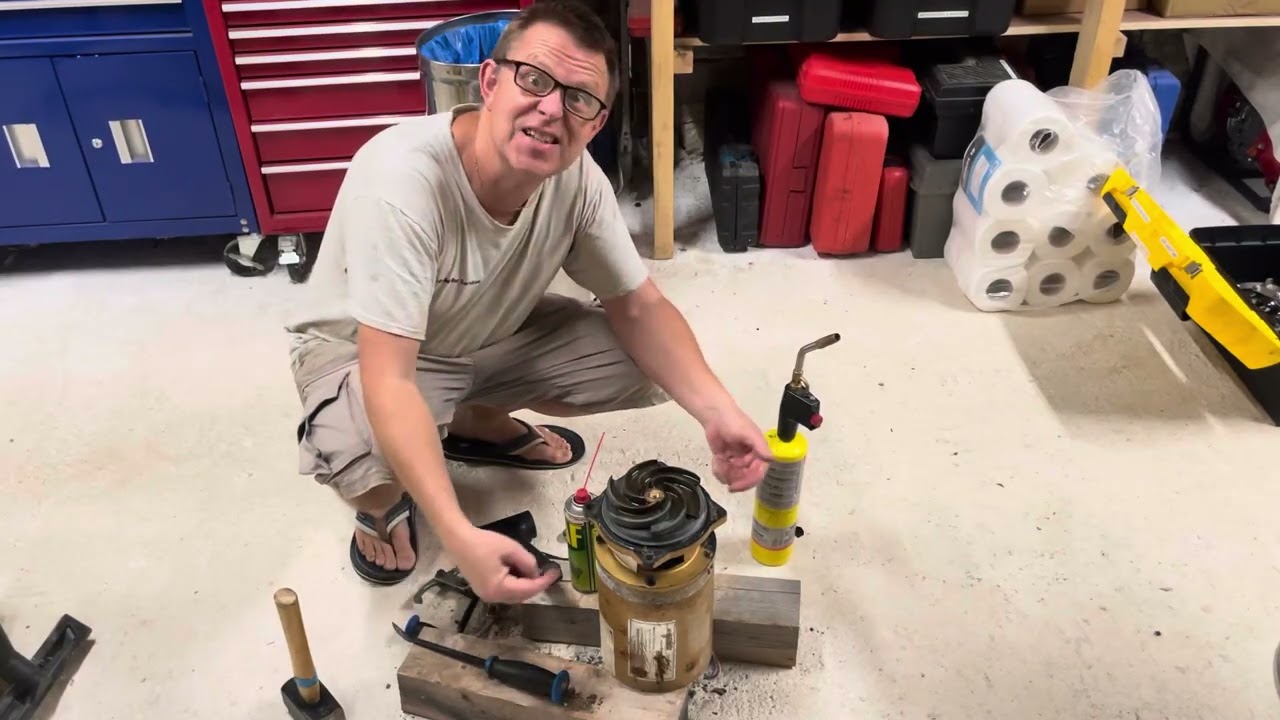 Noisy Premier 556 pool pump bearing replacement. 