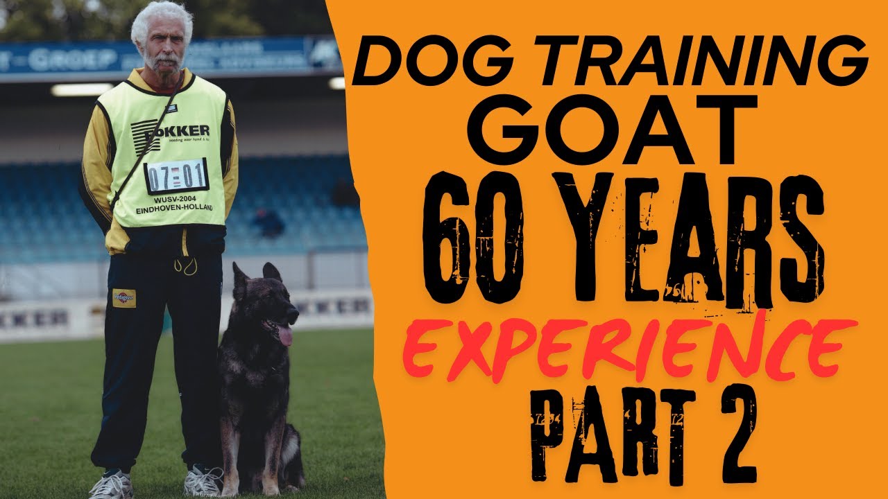 DOG TRAINER? WATCH THIS!! Helmut Raiser Part 2 German GOAT dog training Schutzhund Protection dog K9