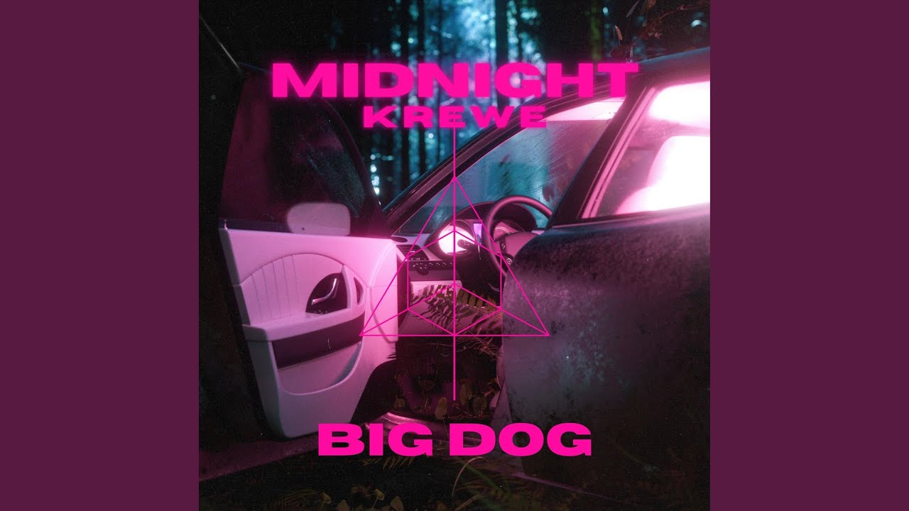 In The Darkness of the Night (feat. ENSEMBLE)