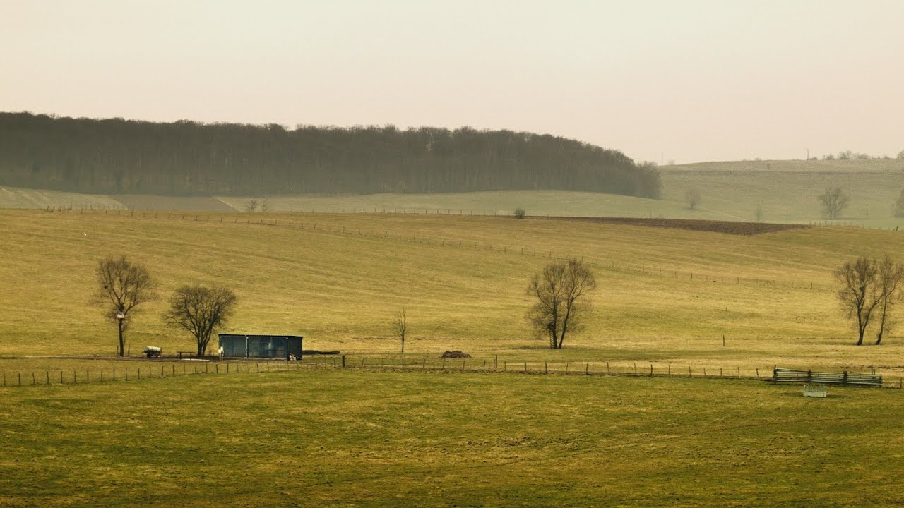 Le Parc Régional des Vosges du Nord